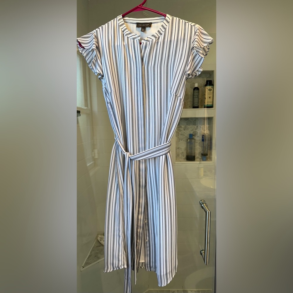 The Limited Black and White Striped Dress